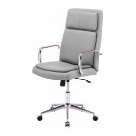 Kancelářské křeslo Erny CH 157230 šedá